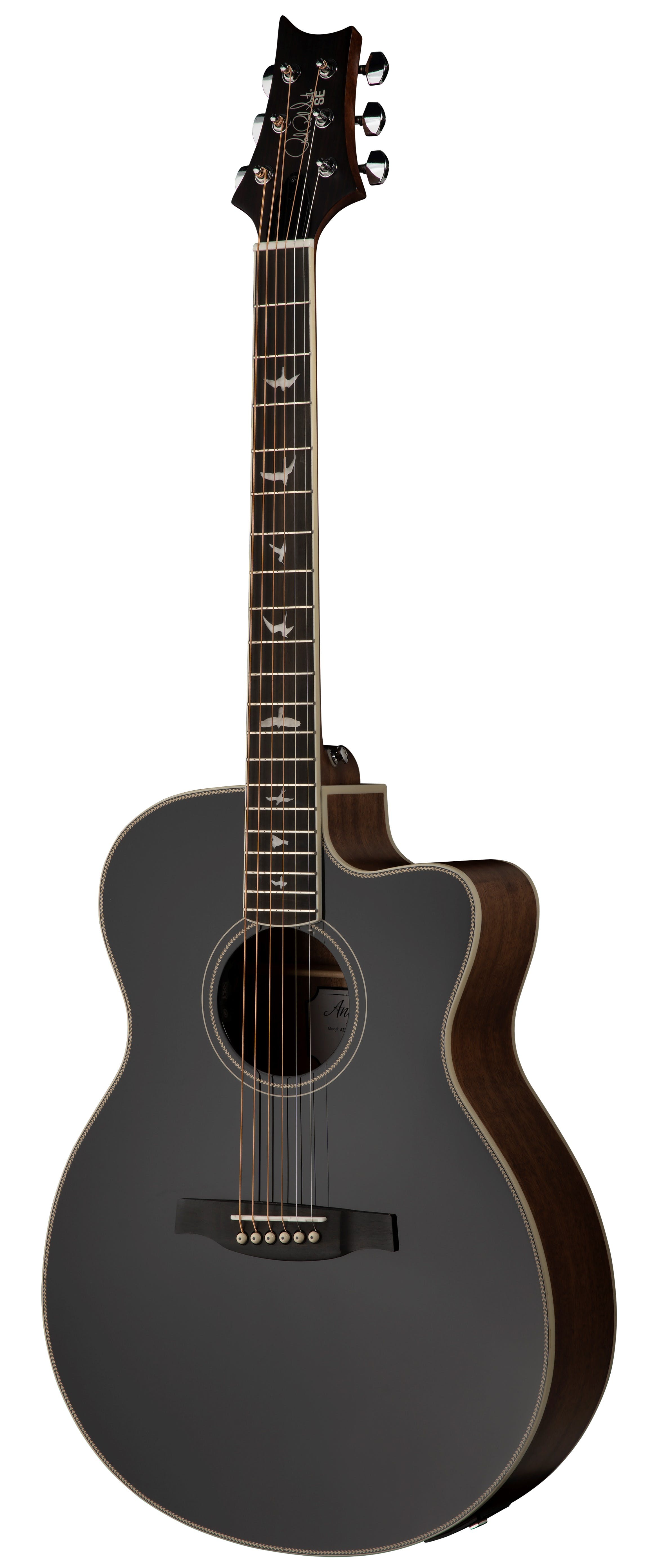 Glossy black electric guitar with a cutaway body, white bird inlays on the fretboard, and dark wood sides and neck.