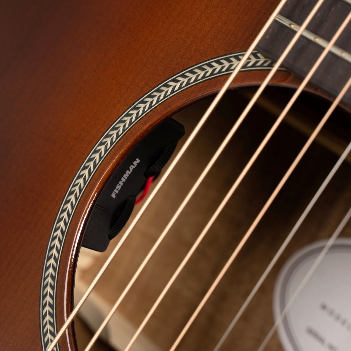 Cort Essence GA4 Special Electro Acoustic in Brown Burst Semi Gloss