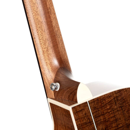 Cort Essence GA4 Special Electro Acoustic in Black Top Semi Gloss