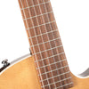Cort Sunset Nylectric II in Natural with Bag