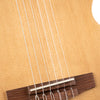 Cort Sunset Nylectric II in Natural with Bag