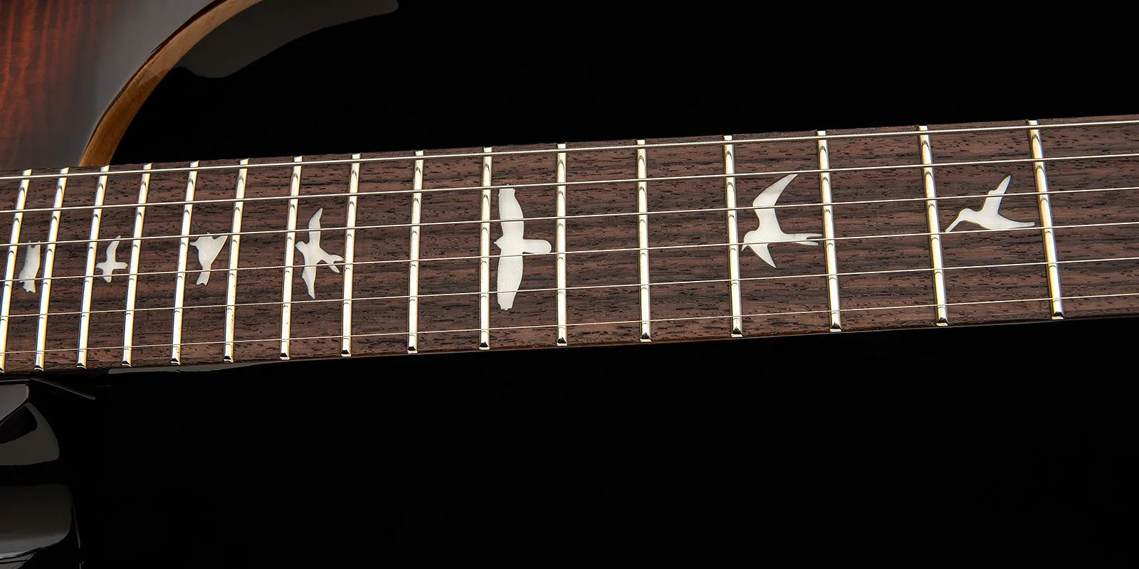 Electric guitar fretboard with inlays shaped like flying birds between the metal frets on a dark wood background.