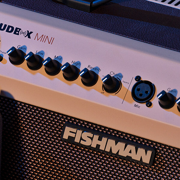 Close-up of a Fishman amplifier control panel showing multiple knobs for gain, EQ, reverb, chorus, and an XLR mic input.