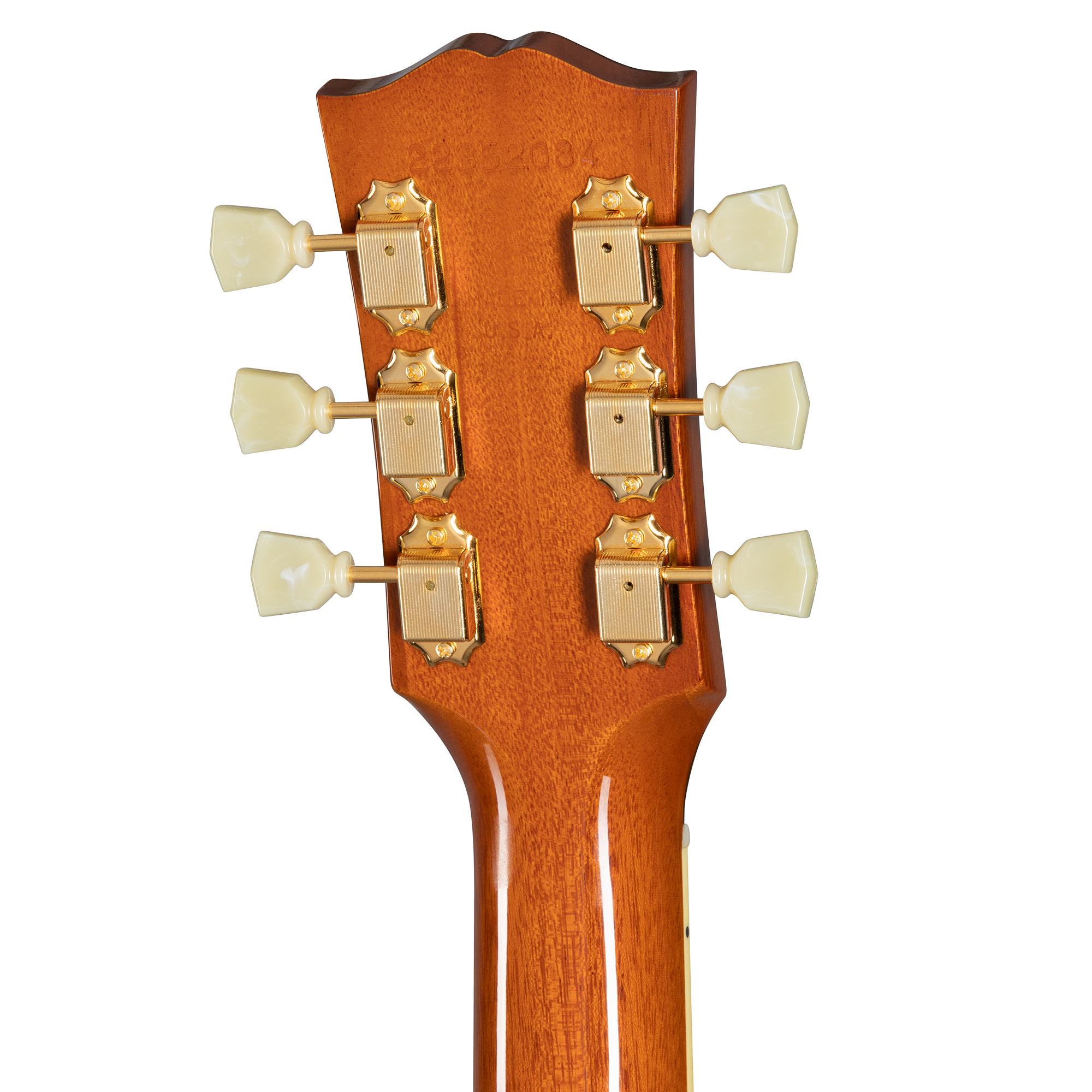 Back of an acoustic guitar headstock showing six gold tuning machines with cream-colored tuning pegs arranged three per side.