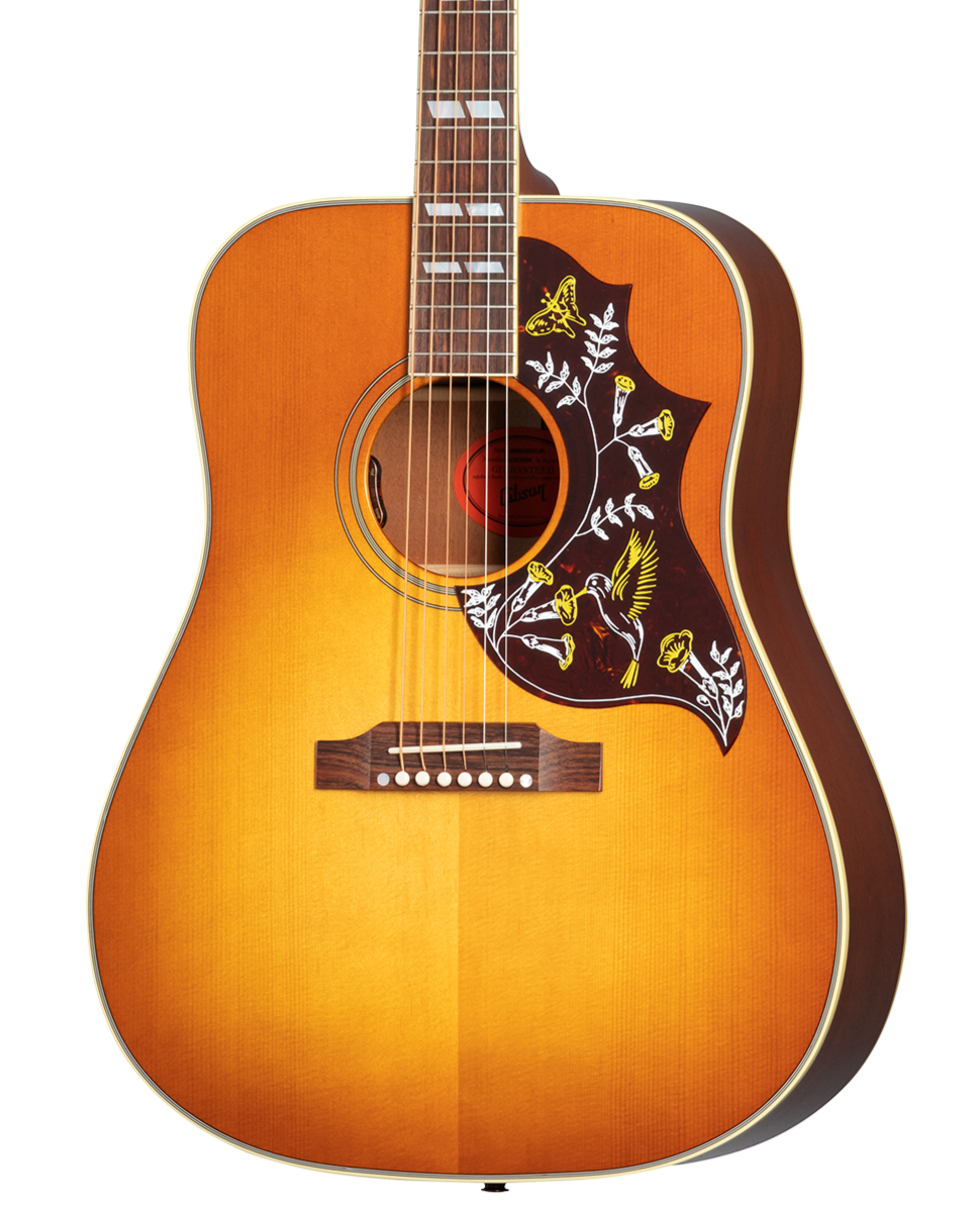 Sunburst acoustic guitar with a large pickguard featuring colorful hummingbird and flower designs.