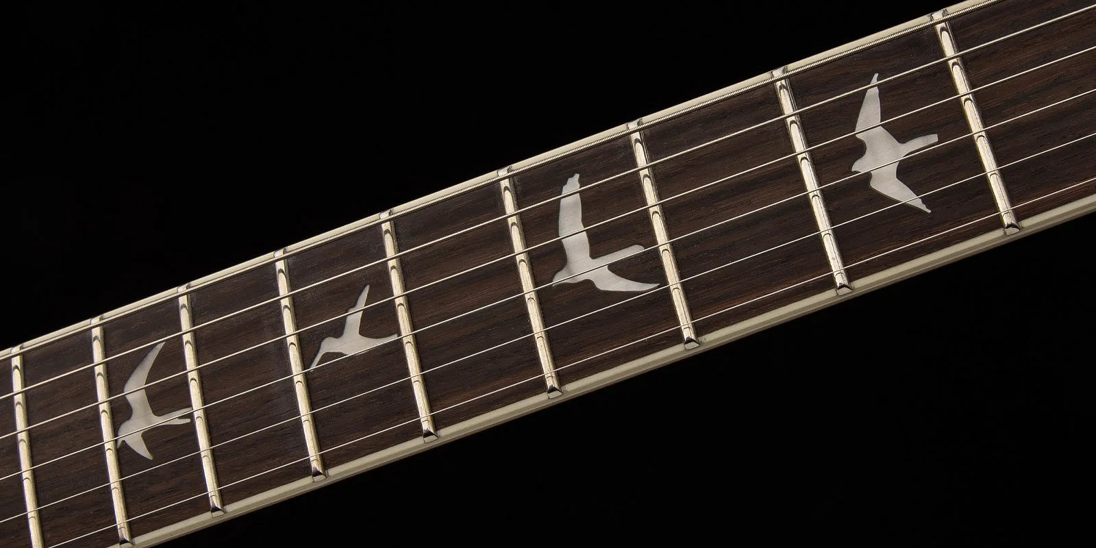 Dark electric guitar fretboard with silver bird-shaped inlays between metal frets and six strings running lengthwise.