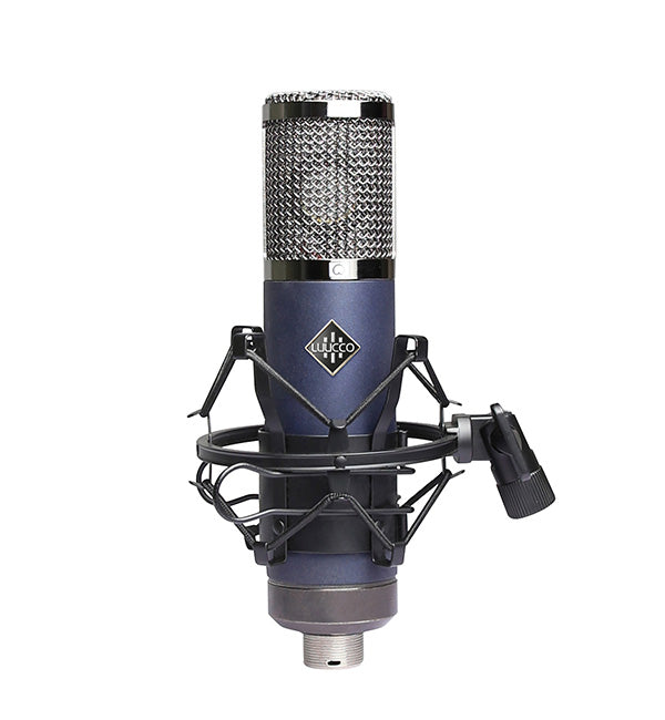 Large-diaphragm studio microphone with a metallic grille, mounted in a black shock mount, designed for professional audio recording.