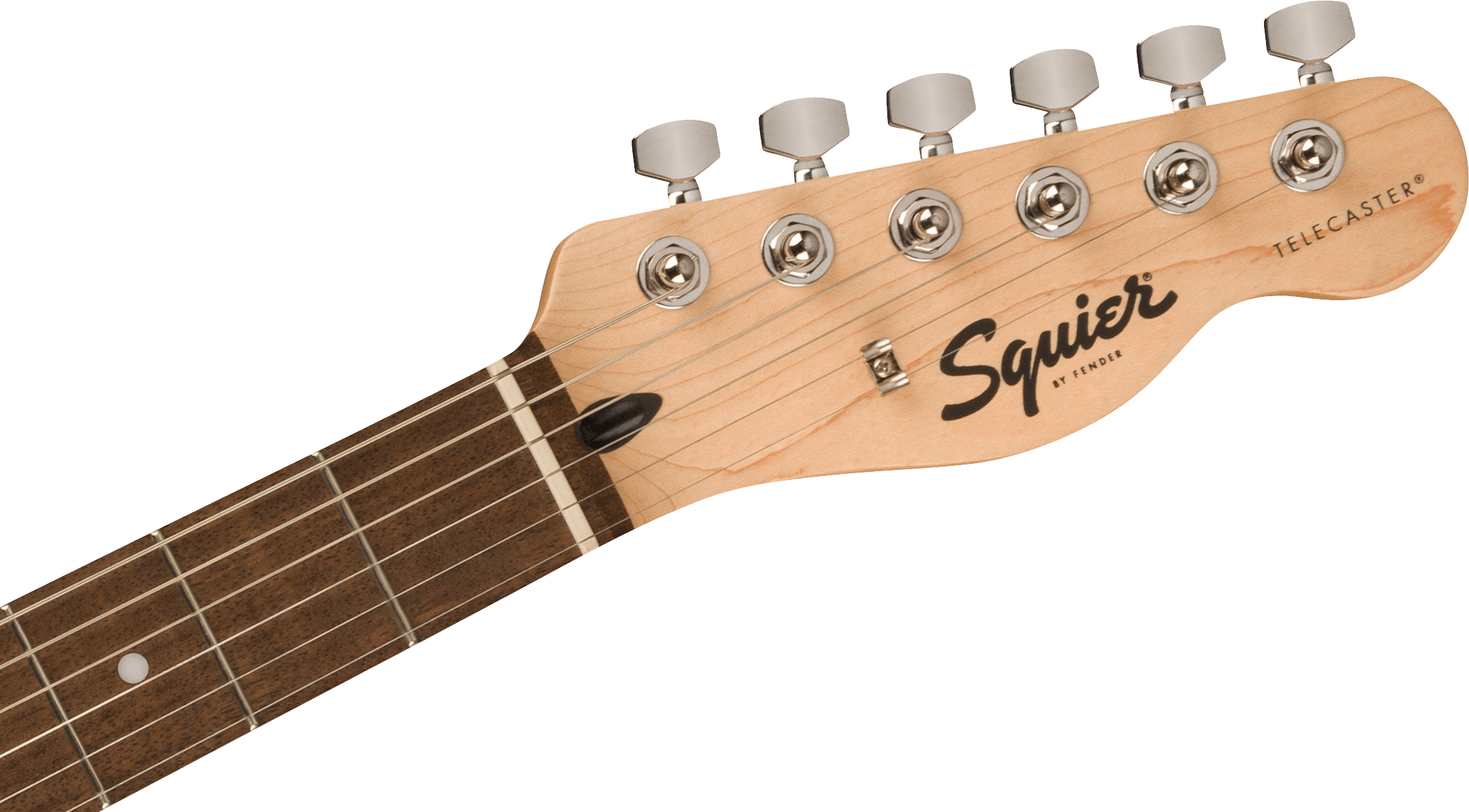 Light wood Squier Telecaster electric guitar headstock with six metal tuning pegs and a dark brown fingerboard with white fret markers.