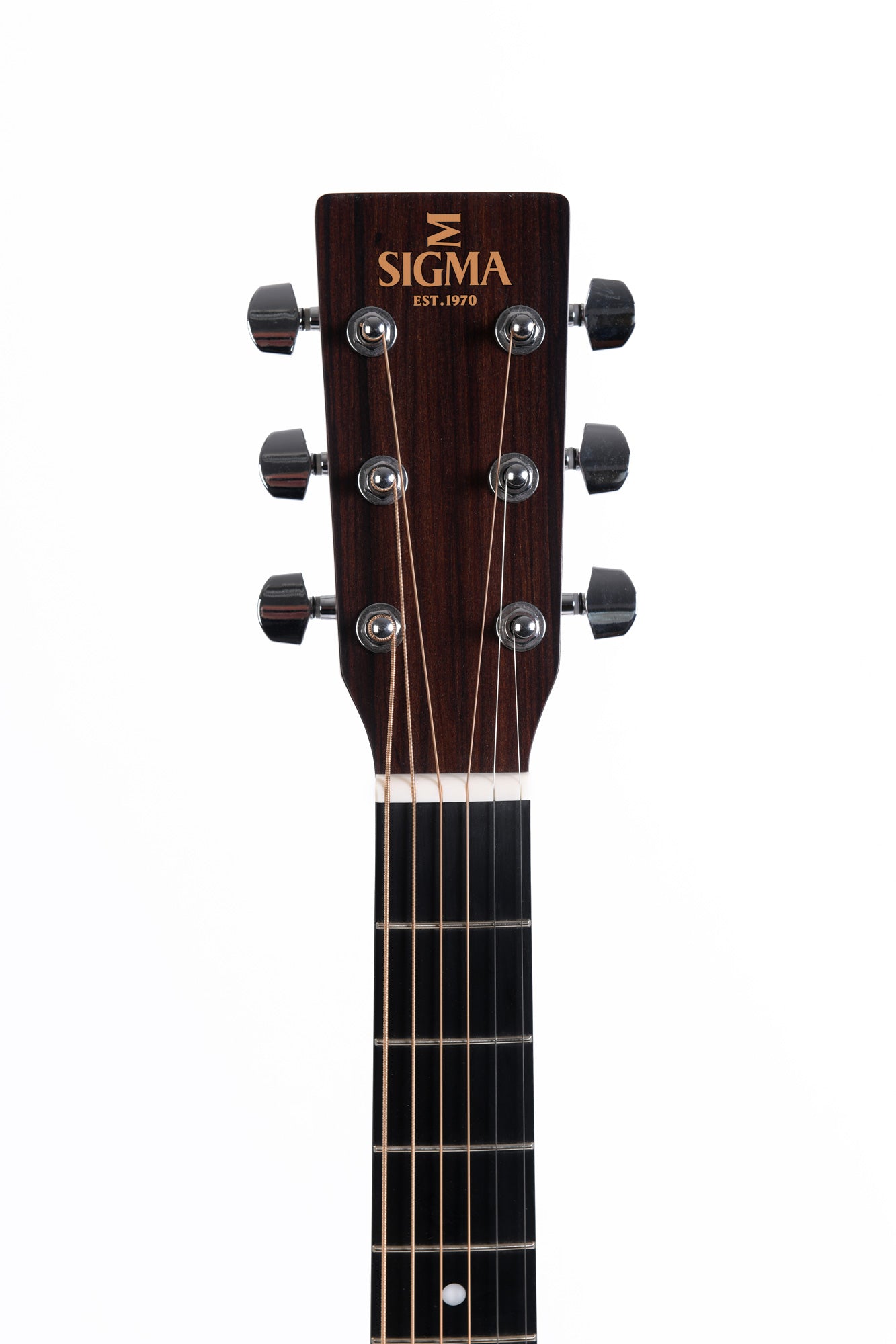 Dark wood Sigma acoustic guitar headstock with six tuning pegs, gold logo, and strings running down a black fingerboard.