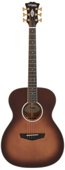 D'Angelico Excel Tammany Electro Acoustic in Autumn Burst Gig Bag