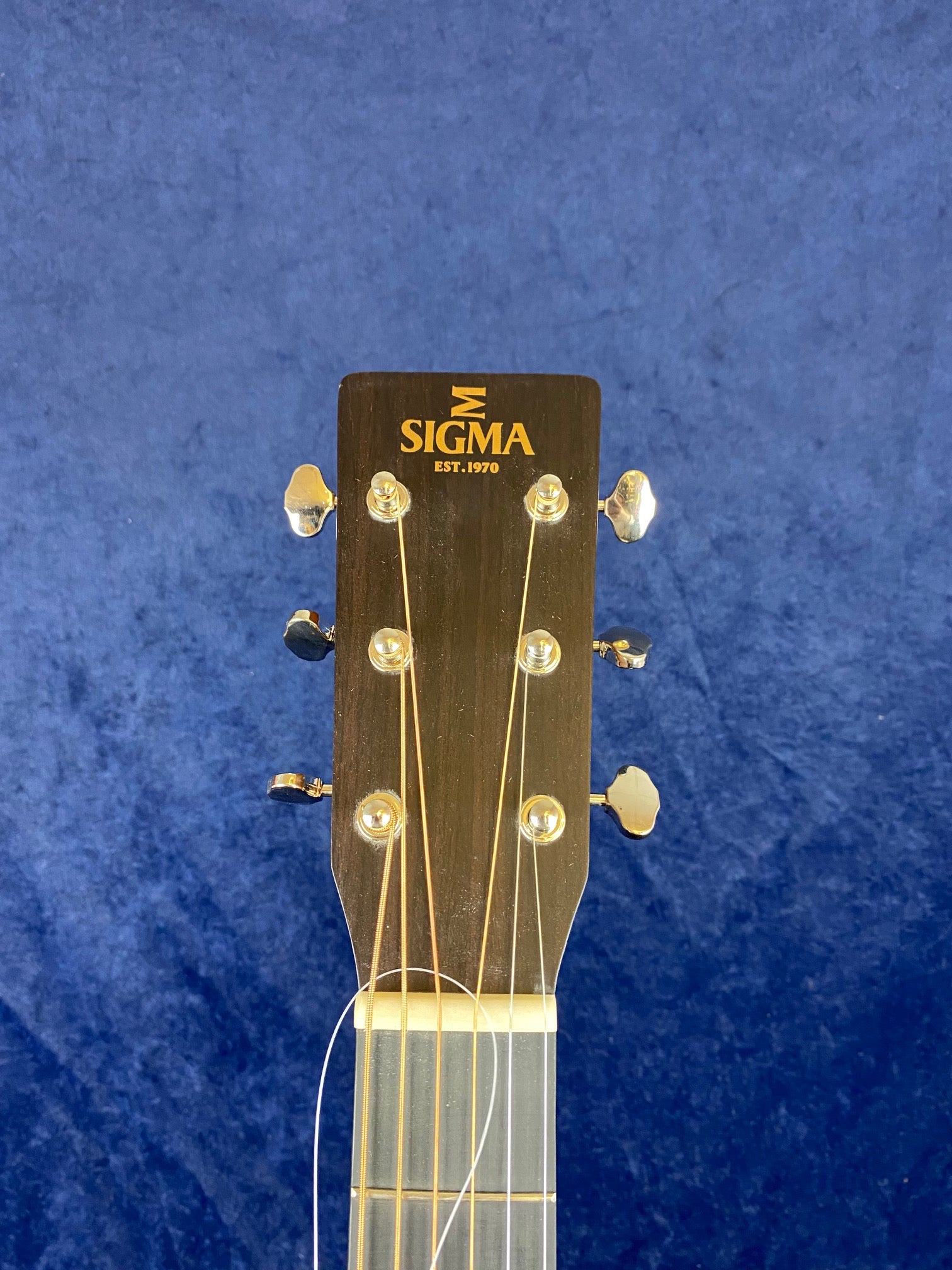 The headstock of a Sigma acoustic guitar with six tuning pegs and gold “Sigma Est. 1970” branding, set against a blue background.