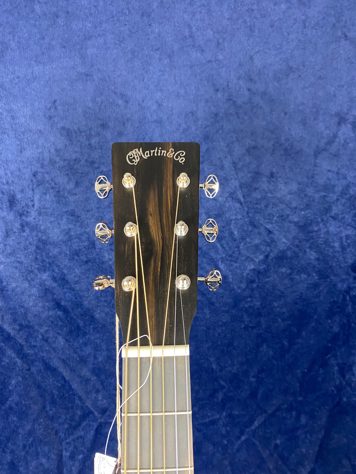Martin & Co. acoustic guitar headstock with six tuning pegs, light wood grain, and strings against a blue textured background.
