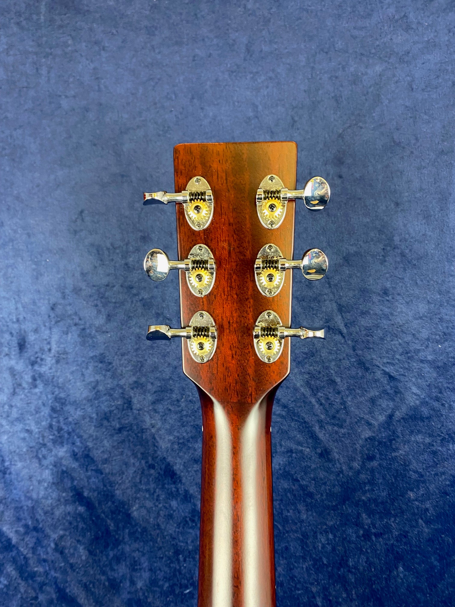 Back of an acoustic guitar headstock showing six metal tuning pegs with gold and silver hardware on a wooden neck, set against a blue background.