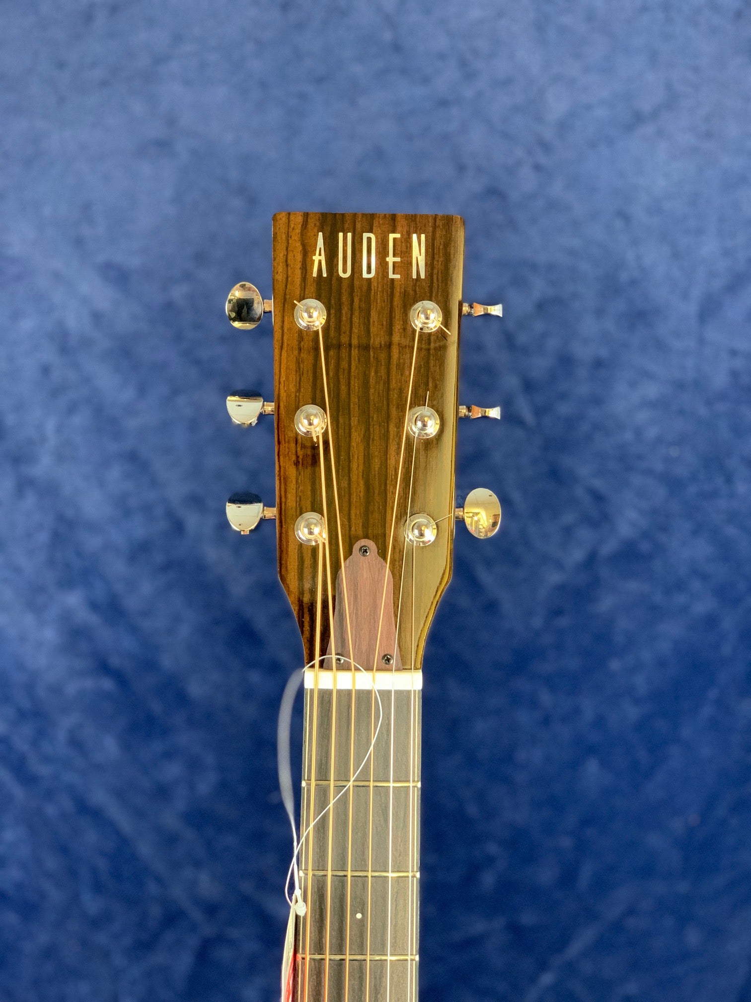 Auden acoustic guitar headstock with six tuning pegs and logo, shown against a blue textured background.