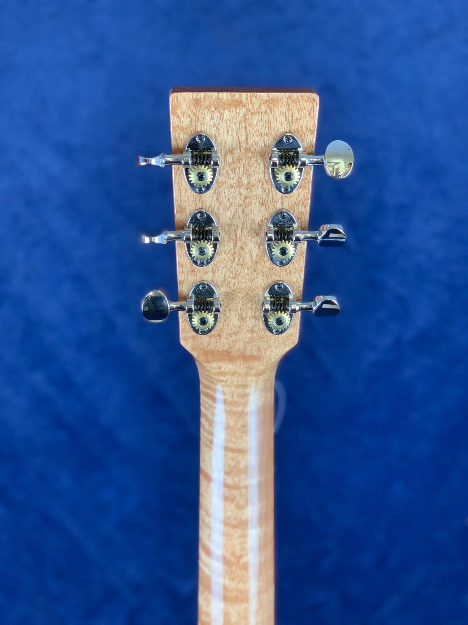 Six metal tuning pegs on the back of a light wood acoustic guitar headstock, shown against a solid blue background.