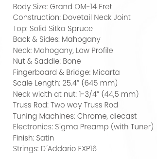 Grand OM-14 fret acoustic guitar with solid Sitka spruce top, mahogany back, sides, and neck, micarta fingerboard, built-in tuner, satin finish.