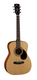 Cort Guitars AF510-OP Concert Acoustic Guitar in Open Pore Natural - theguitarstoreonline