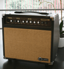 Carlsbro Sherwood 20 20w Acoustic Amplifier - The Guitar Store - The Home Of Tone