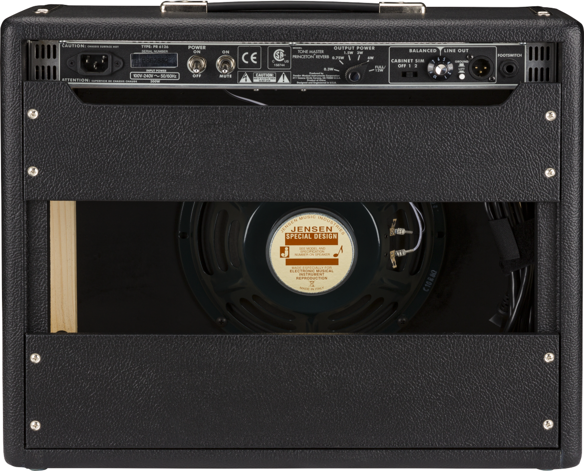 Back panel of a black amplifier showing power switch, output controls, footswitch port, and a Jensen Special Design speaker visible through an open section.